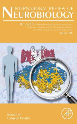 Big on Bk: Current Insights into the Function of Large Conductance Voltage- and Ca2+- Activated K+ Channels at the Molecular, Cellular and Systemic Levels de Candice Contet