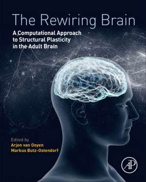 The Rewiring Brain: A Computational Approach to Structural Plasticity in the Adult Brain de Arjen van Ooyen