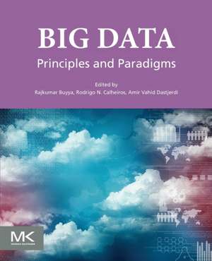 Big Data: Principles and Paradigms de Rajkumar Buyya