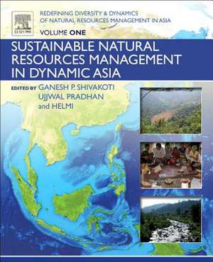 Redefining Diversity and Dynamics of Natural Resources Management in Asia, Volume 1: Sustainable Natural Resources Management in Dynamic Asia de Ganesh Shivakoti