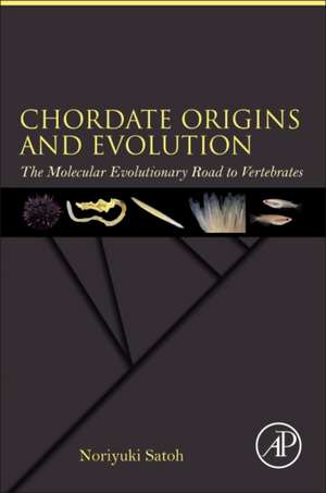 Chordate Origins and Evolution: The Molecular Evolutionary Road to Vertebrates de Noriyuki Satoh