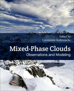 Mixed-Phase Clouds: Observations and Modeling de Constantin Andronache