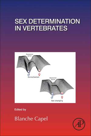 Sex Determination in Vertebrates de Blanche Capel