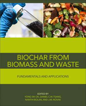 Biochar from Biomass and Waste: Fundamentals and Applications de Yong Sik Ok