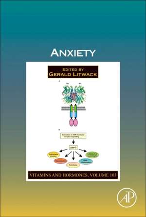 Anxiety de Gerald Litwack