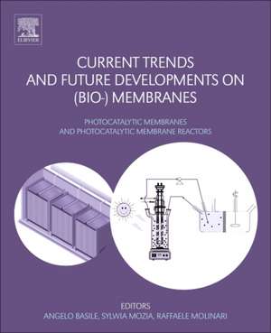 Current Trends and Future Developments on (Bio-) Membranes: Photocatalytic Membranes and Photocatalytic Membrane Reactors de Angelo Basile