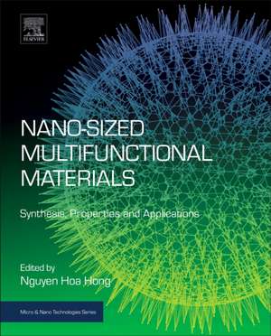 Nano-sized Multifunctional Materials: Synthesis, Properties and Applications de Nguyen Hoa Hong