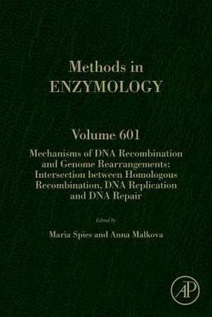 Mechanisms of DNA Recombination and Genome Rearrangements: Intersection Between Homologous Recombination, DNA Replication and DNA Repair de Maria Spies