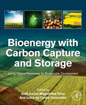 Bioenergy with Carbon Capture and Storage: Using Natural Resources for Sustainable Development de José Carlos Magalhães Pires