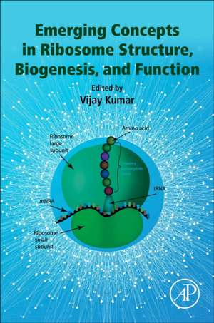 Emerging Concepts in Ribosome Structure, Biogenesis, and Function de Vijay Kumar