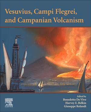 Vesuvius, Campi Flegrei, and Campanian Volcanism de Benedetto De Vivo