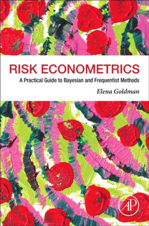 Risk Econometrics: A Practical Guide to Bayesian and Frequentist Methods de Elena Goldman