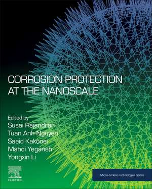 Corrosion Protection at the Nanoscale de Susai Rajendran