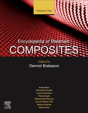 Encyclopedia of Materials: Composites de Dermot Brabazon