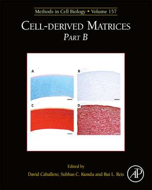 Cell-Derived Matrices Part B de David Caballero