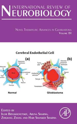 Novel Therapeutic Advances in Glioblastoma de Igor Bryukhovetskiy