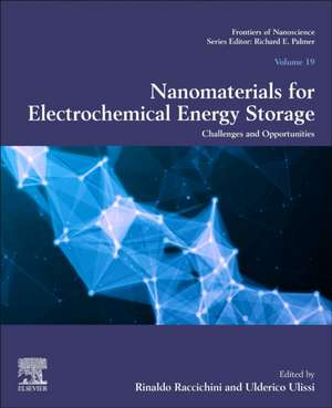 Nanomaterials for Electrochemical Energy Storage: Challenges and Opportunities de Rinaldo Raccichini