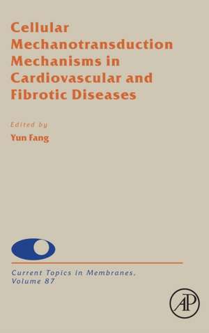 Cellular Mechanotransduction Mechanisms in Cardiovascular and Fibrotic Diseases de Yun Fang