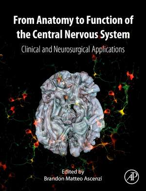 From Anatomy to Function of the Central Nervous System: Clinical and Neurosurgical Applications de Brandon Matteo Ascenzi