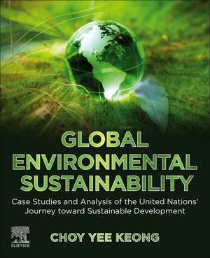 Global Environmental Sustainability: Case Studies and Analysis of the United Nations’ Journey toward Sustainable Development de Choy Yee Keong