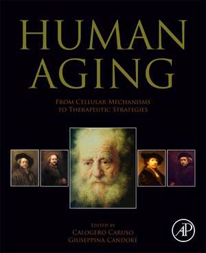 Human Aging: From Cellular Mechanisms to Therapeutic Strategies de Calogero Caruso