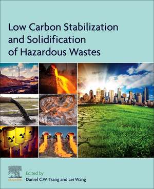 Low Carbon Stabilization and Solidification of Hazardous Wastes de Daniel C.W. Tsang