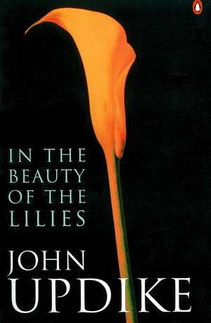 In the Beauty of the Lilies de John Updike