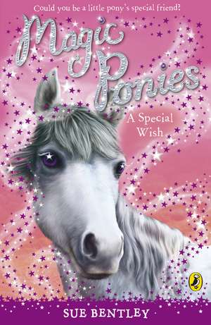 Magic Ponies de Sue Bentley