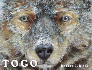 Uc Togo: A Hero's Tale de Robert J. Blake