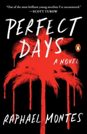 Perfect Days de Raphael Montes