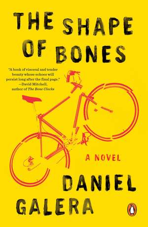 The Shape of Bones: A Novel de Daniel Galera