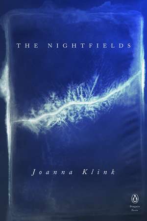 The Nightfields de Joanna Klink