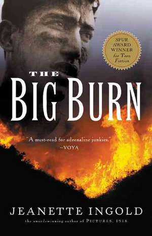 The Big Burn de Jeanette Ingold