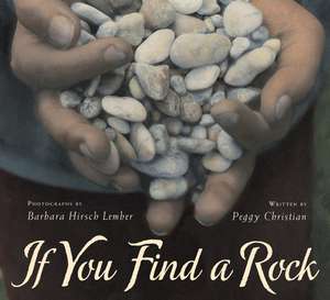 If You Find a Rock de Peggy Christian