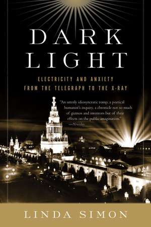 Dark Light: Electricity and Anxiety from the Telegraph to the X-ray de Linda Simon