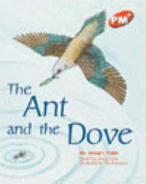 Ant And The Dove PM PLUS Orange 15