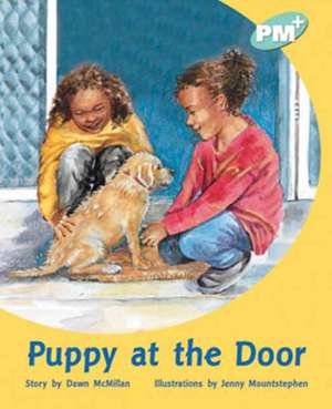 Puppy at the Door PM PLUS Level 18 Turquoise de Dawn McMillan