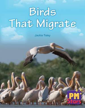 Birds that Migrate PM Stars Blue Non fiction