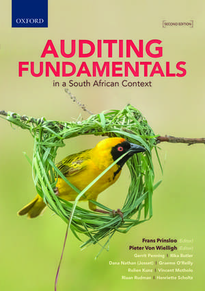 Auditing Fundamentals in a South African Context de Pieter von Wielligh