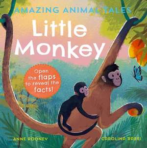 Amazing Animal Tales: Little Monkey de Anne Rooney