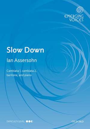 Slow Down de Ian Assersohn