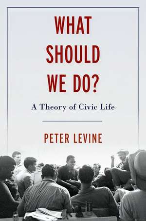 What Should We Do?: A Theory of Civic Life de Peter Levine