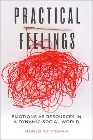 Practical Feelings: Emotions as Resources in a Dynamic Social World de Marci D. Cottingham