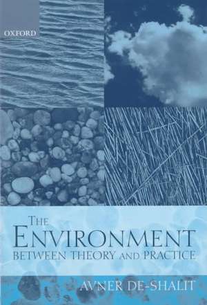 The Environment Between Theory and Practice de Avner De-Shalit