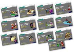 Read Write Inc. Phonics: Grey Set 7 Core Storybooks (Mixed Pack of 13) de Gill Munton