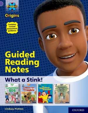 Project X Origins: Purple Book Band, Oxford Level 8: What a Stink!: Guided reading notes de Lindsay Pickton