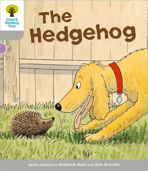 Oxford Reading Tree: Level 1: Wordless Stories B: Hedgehog de Roderick Hunt