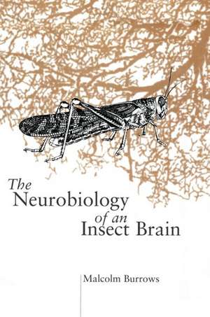 The Neurobiology of an Insect Brain de Malcolm Burrows