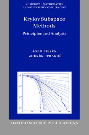 Krylov Subspace Methods: Principles and Analysis de Jörg Liesen