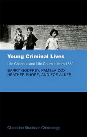 Young Criminal Lives: Life Courses and Life Chances from 1850 de Barry Godfrey